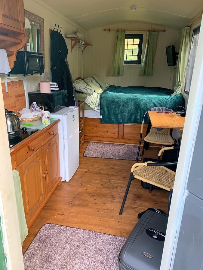 Snug & Secluded Lakeside Shepherds Hut 'Carp' Uckfield Eksteriør billede