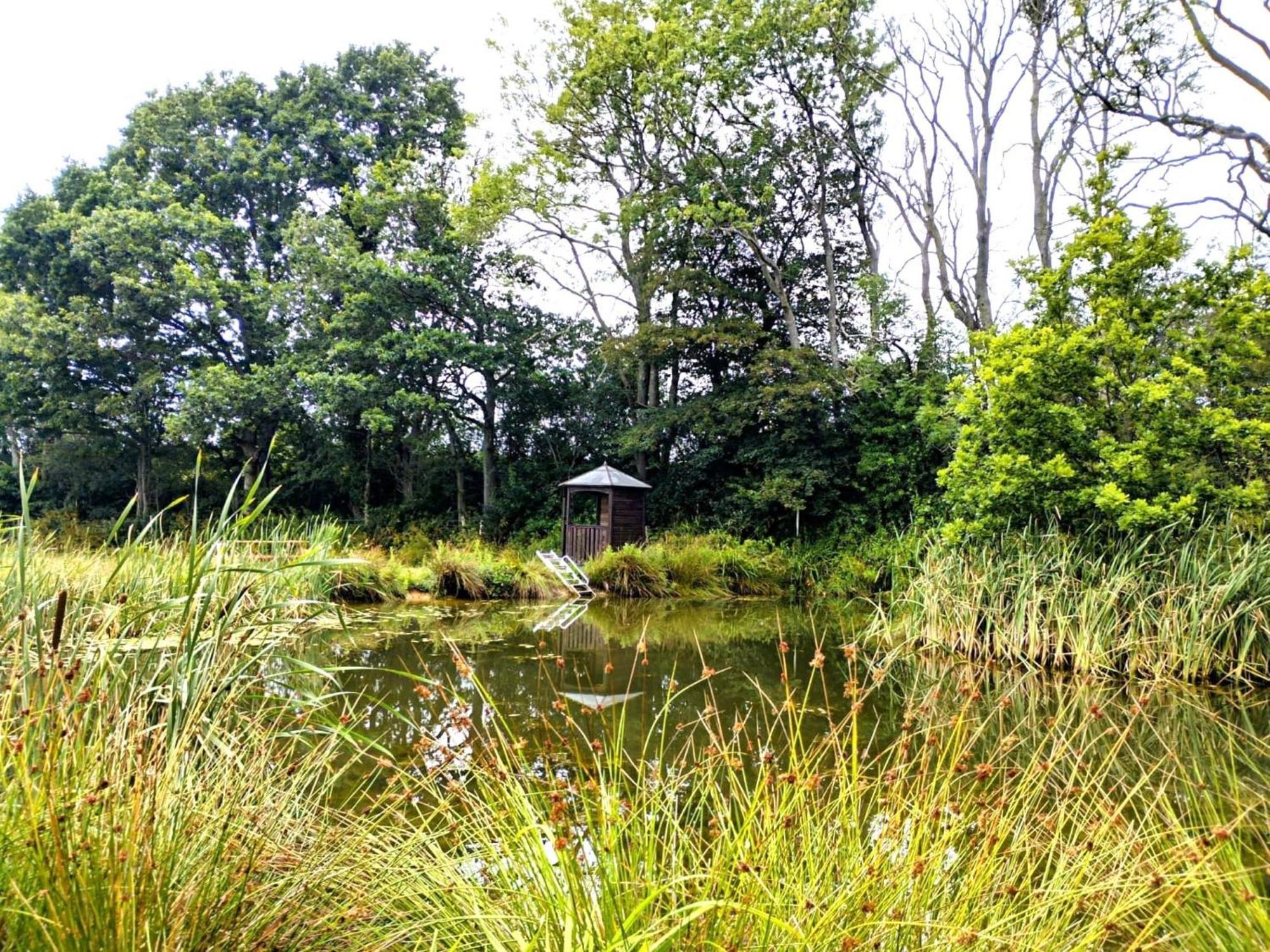 Snug & Secluded Lakeside Shepherds Hut 'Carp' Uckfield Eksteriør billede