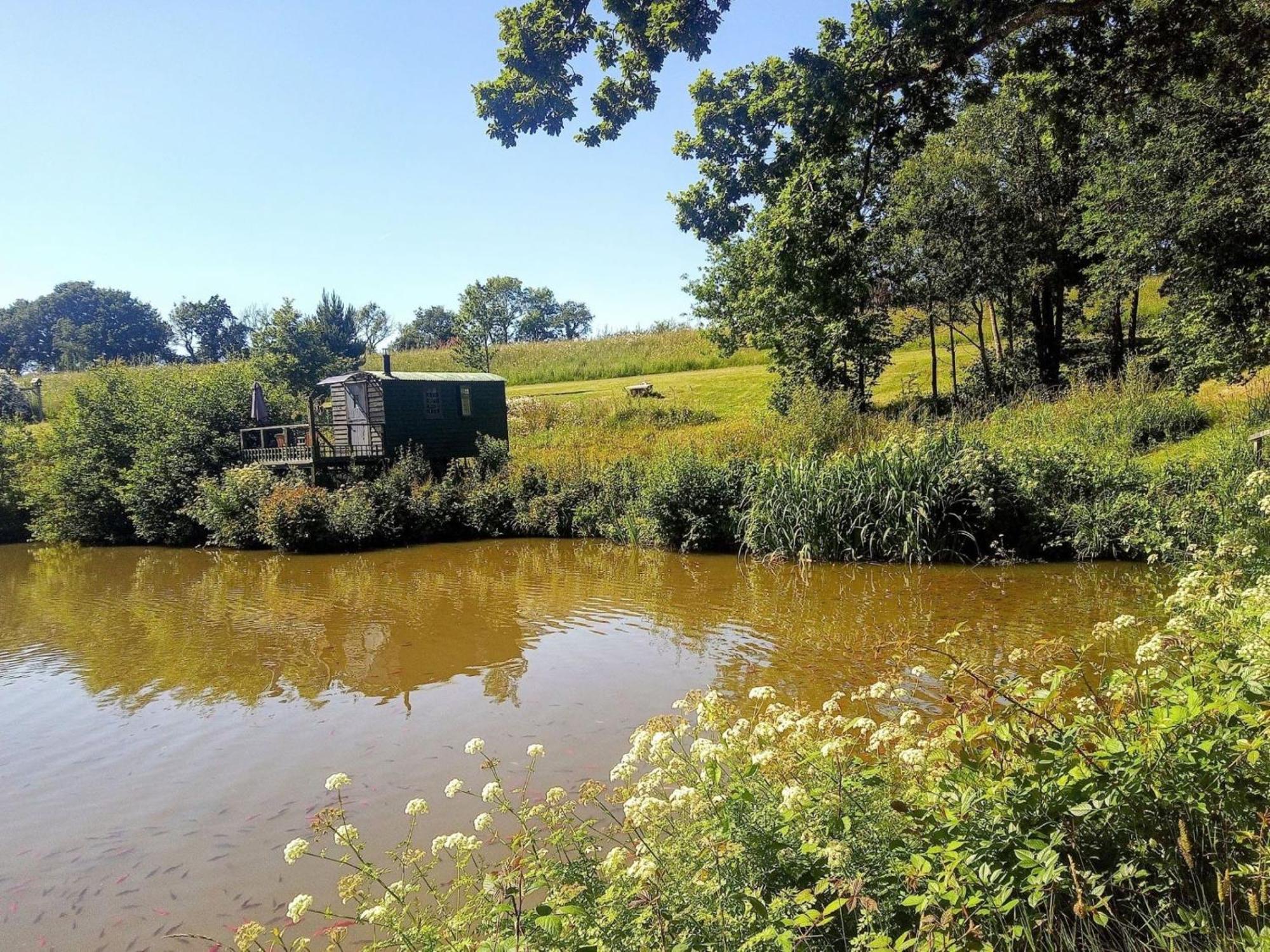 Snug & Secluded Lakeside Shepherds Hut 'Carp' Uckfield Eksteriør billede
